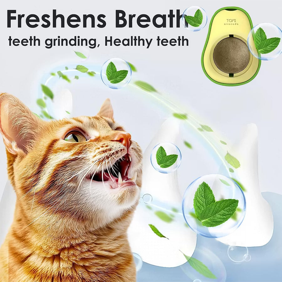 Cat grass ball spin by F&C™