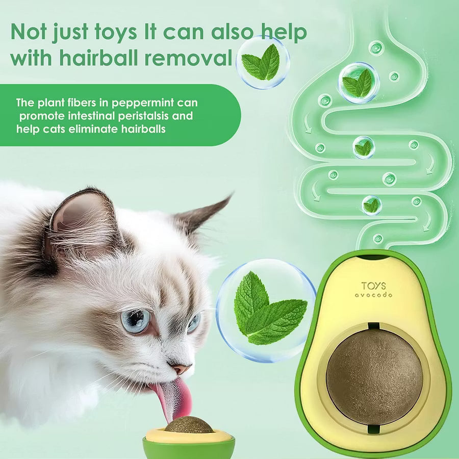 Cat grass ball spin by F&C™