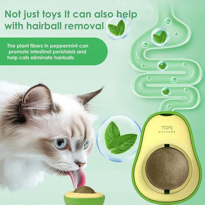 Cat grass ball spin by F&C™