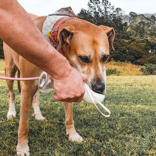Pet Water Bottle™