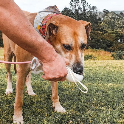 Pet Water Bottle™