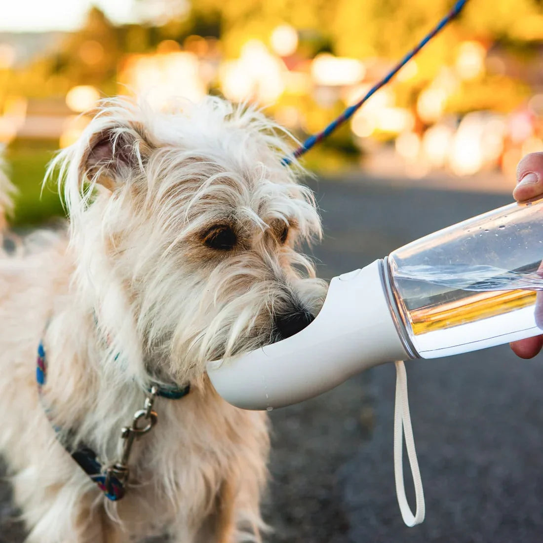 Pet Water Bottle™